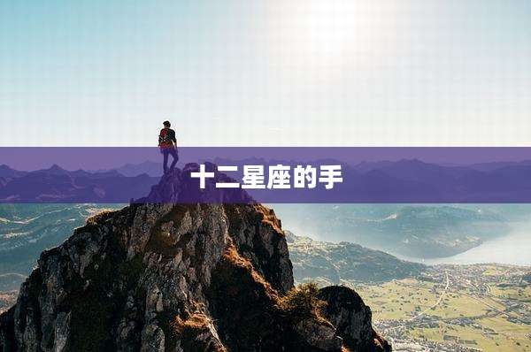 十二星座的手