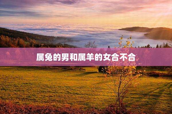属兔的男和属羊的女合不合