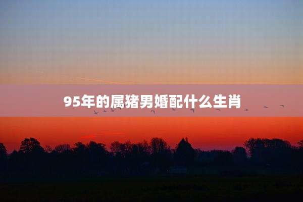 95年的属猪男婚配什么生肖