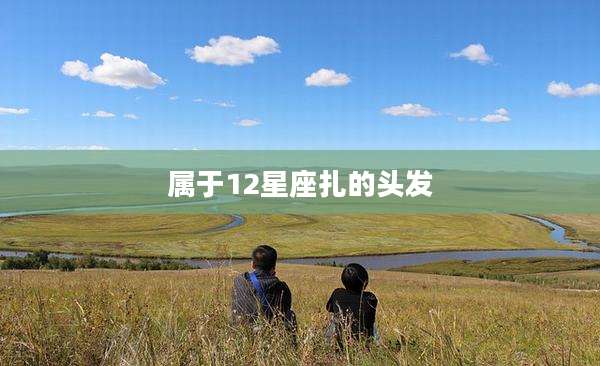 属于12星座扎的头发