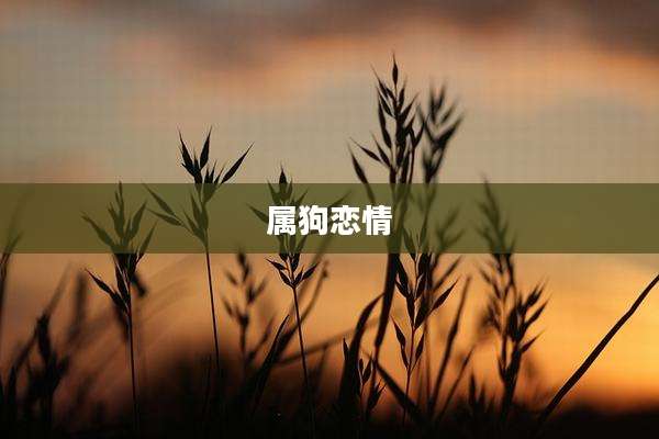 属狗恋情