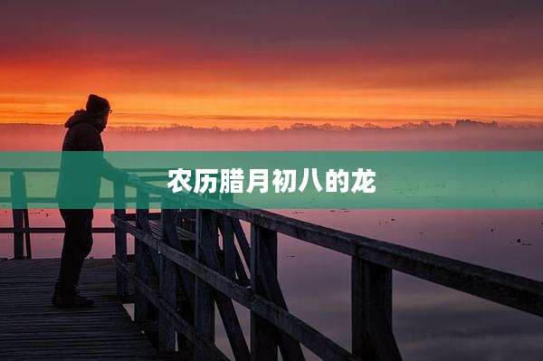 农历腊月初八的龙