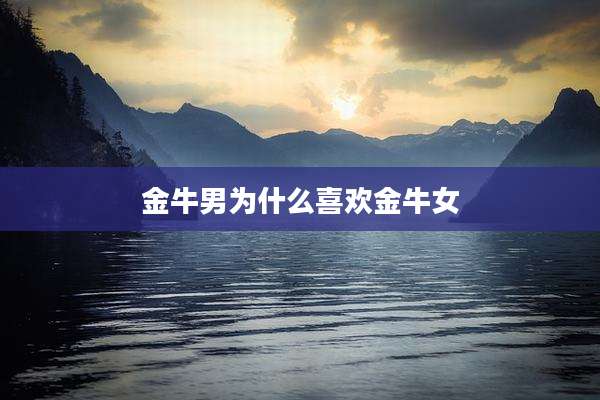 金牛男为什么喜欢金牛女