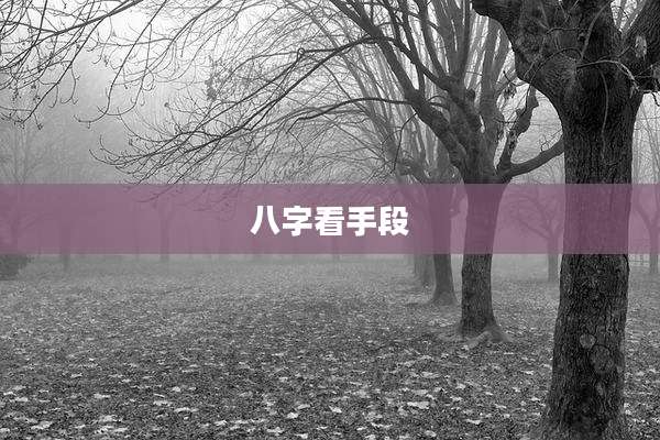 八字看手段