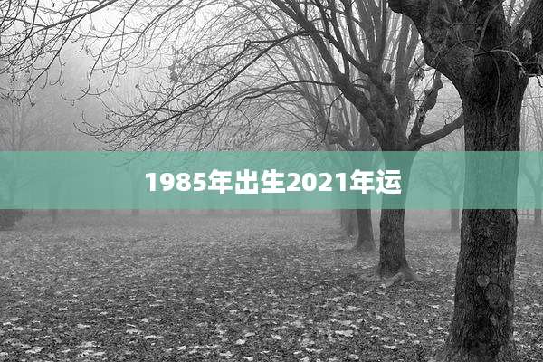 1985年出生2021年运