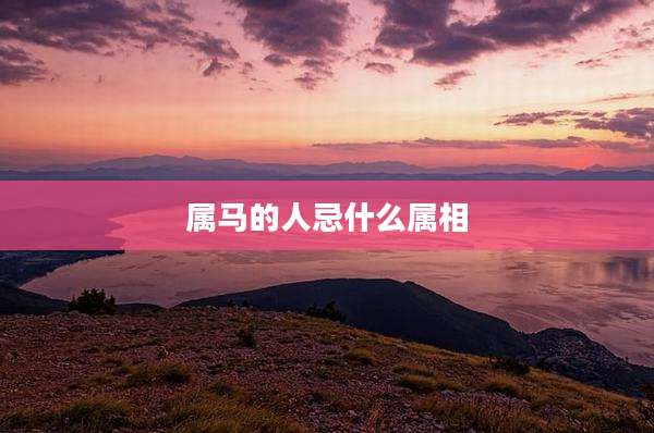 属马的人忌什么属相