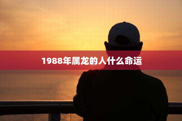 1988年属龙的人什么命运
