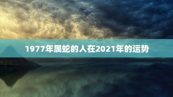 1977年属蛇的人在2021年的运势