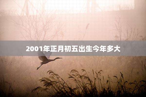2001年正月初五出生今年多大