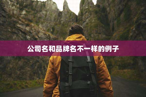公司名和品牌名不一样的例子