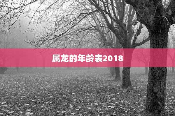 属龙的年龄表2018