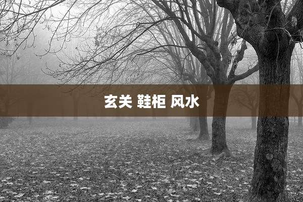 玄关 鞋柜 风水