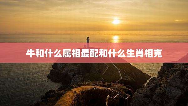 牛和什么属相最配和什么生肖相克