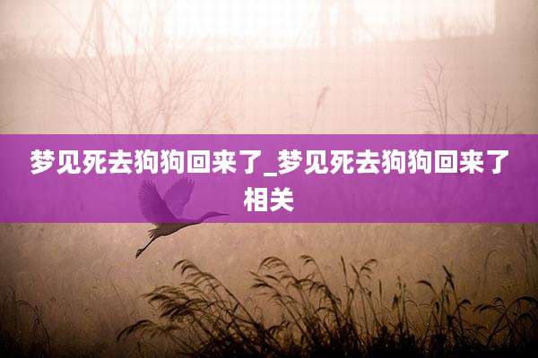 梦见死去狗狗回来了_梦见死去狗狗回来了相关