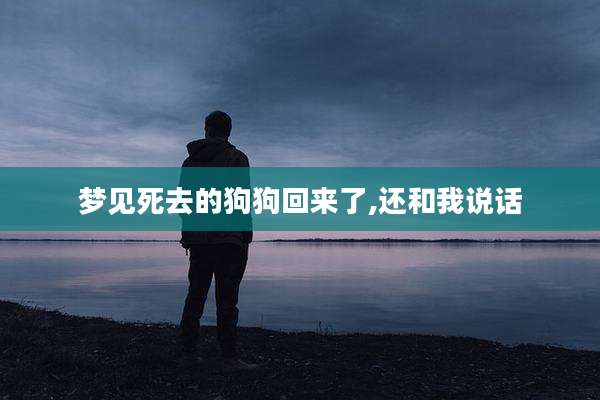 梦见死去的狗狗回来了,还和我说话