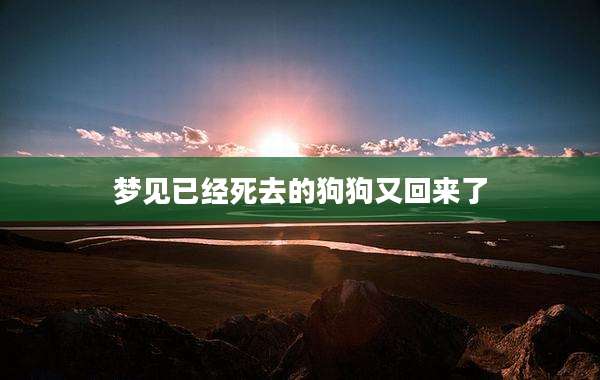 梦见已经死去的狗狗又回来了