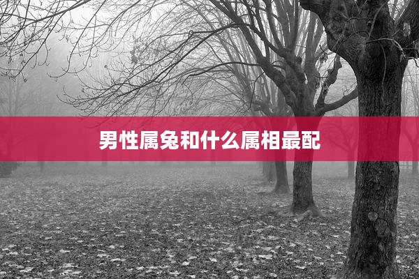 男性属兔和什么属相最配