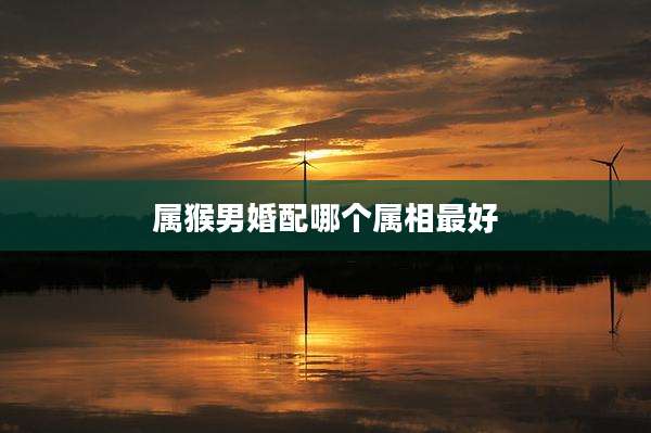 属猴男婚配哪个属相最好