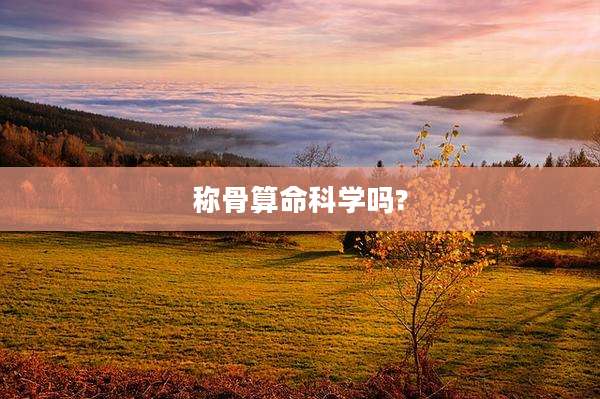 称骨算命科学吗?