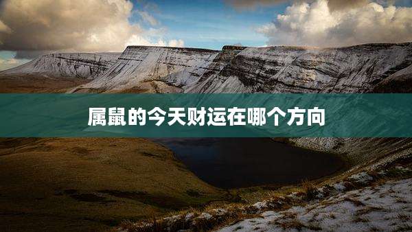 属鼠的今天财运在哪个方向