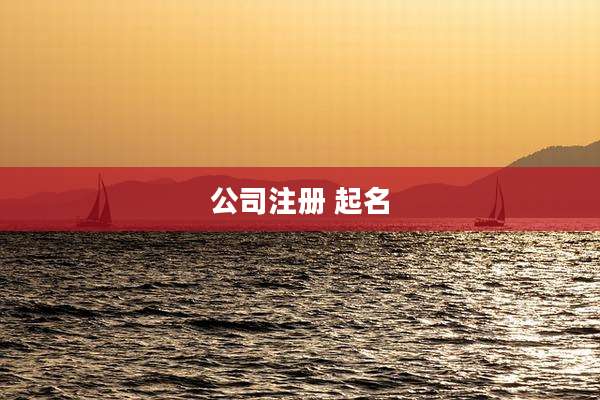 公司注册 起名