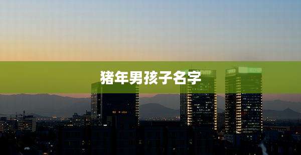 猪年男孩子名字