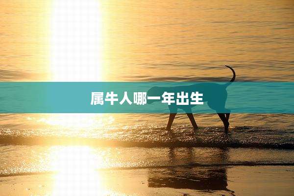 属牛人哪一年出生