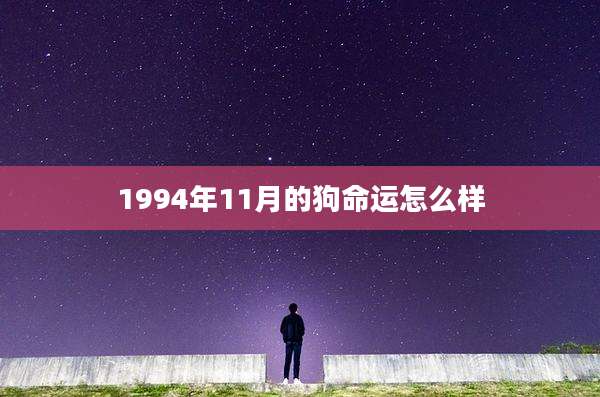 1994年11月的狗命运怎么样