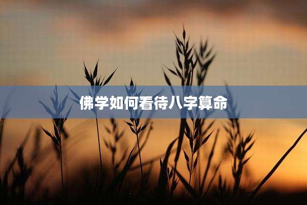 佛学如何看待八字算命