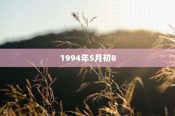 1994年5月初8