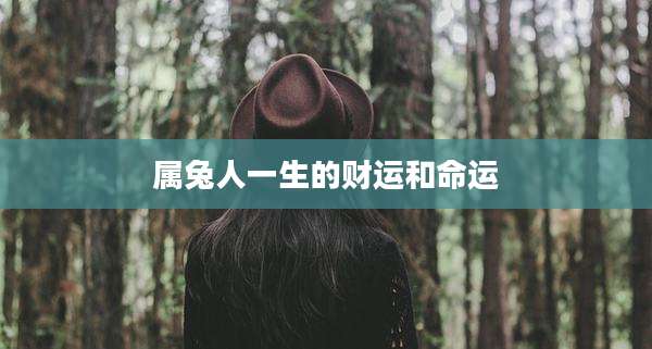 属兔人一生的财运和命运