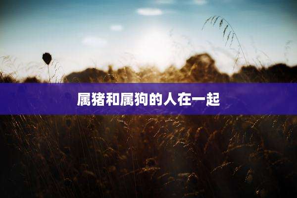 属猪和属狗的人在一起