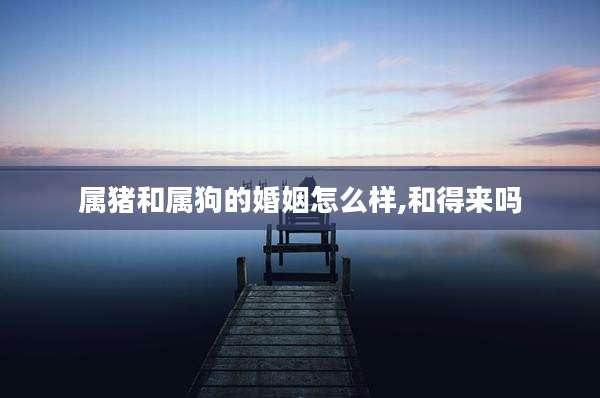 属猪和属狗的婚姻怎么样,和得来吗
