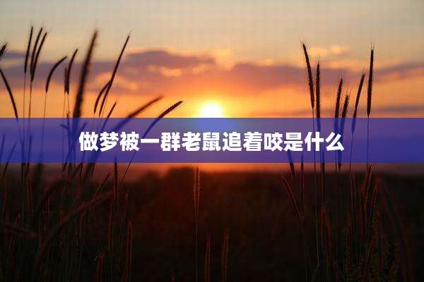 做梦被一群老鼠追着咬是什么
