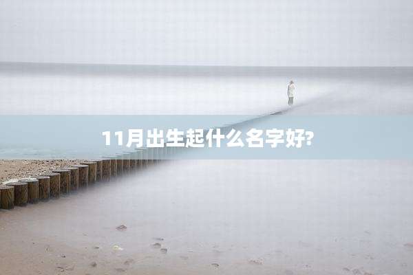 11月出生起什么名字好?