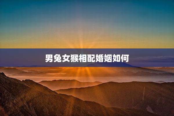 男兔女猴相配婚姻如何