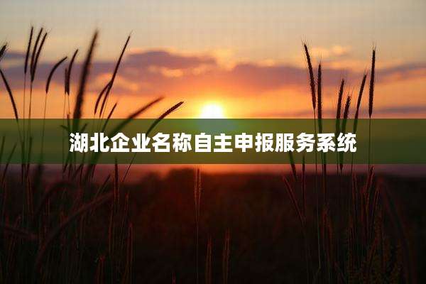 湖北企业名称自主申报服务系统