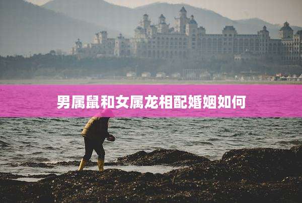 男属鼠和女属龙相配婚姻如何