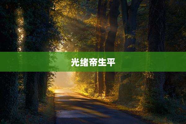 光绪帝生平