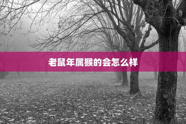 老鼠年属猴的会怎么样