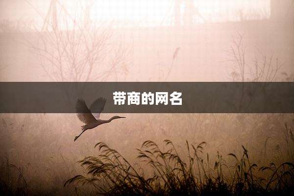 带商的网名