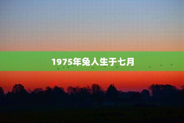 1975年兔人生于七月