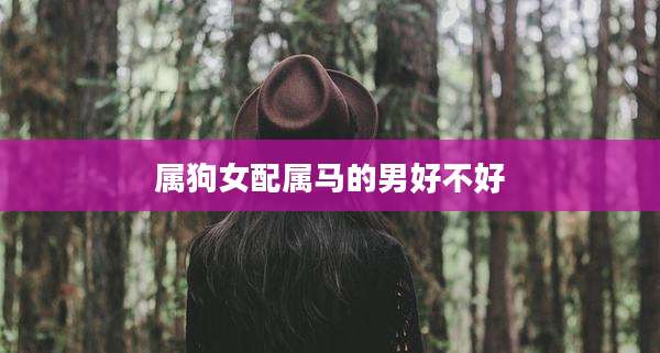属狗女配属马的男好不好