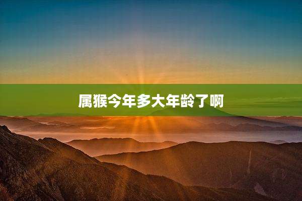 属猴今年多大年龄了啊