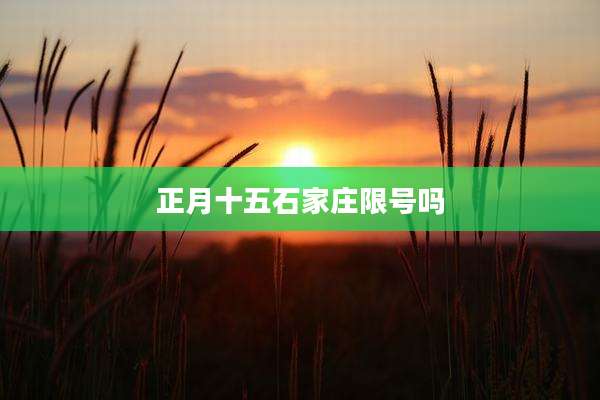正月十五石家庄限号吗