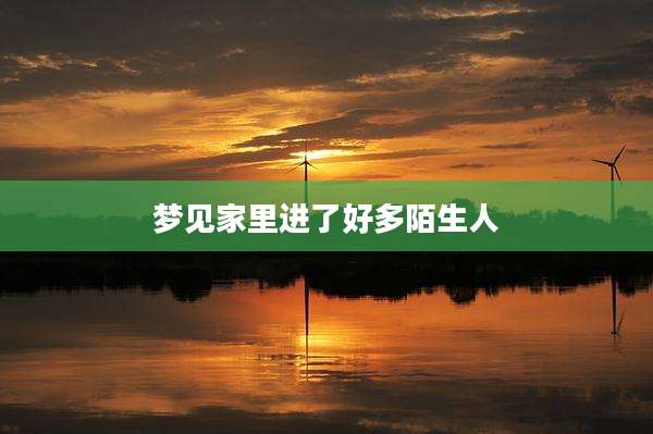 梦见家里进了好多陌生人