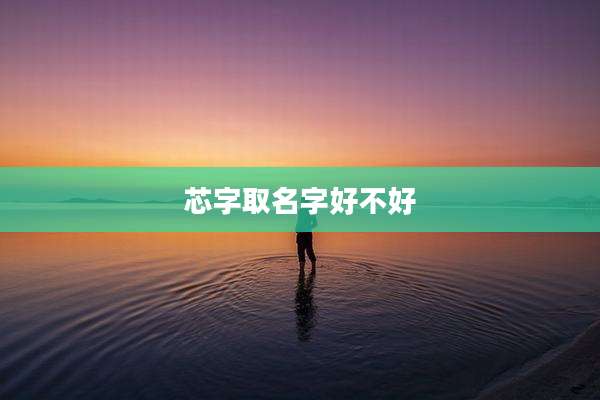 芯字取名字好不好