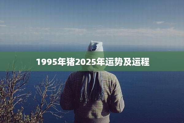 1995年猪2025年运势及运程