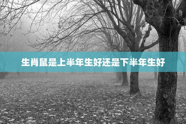 生肖鼠是上半年生好还是下半年生好