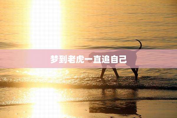 梦到老虎一直追自己